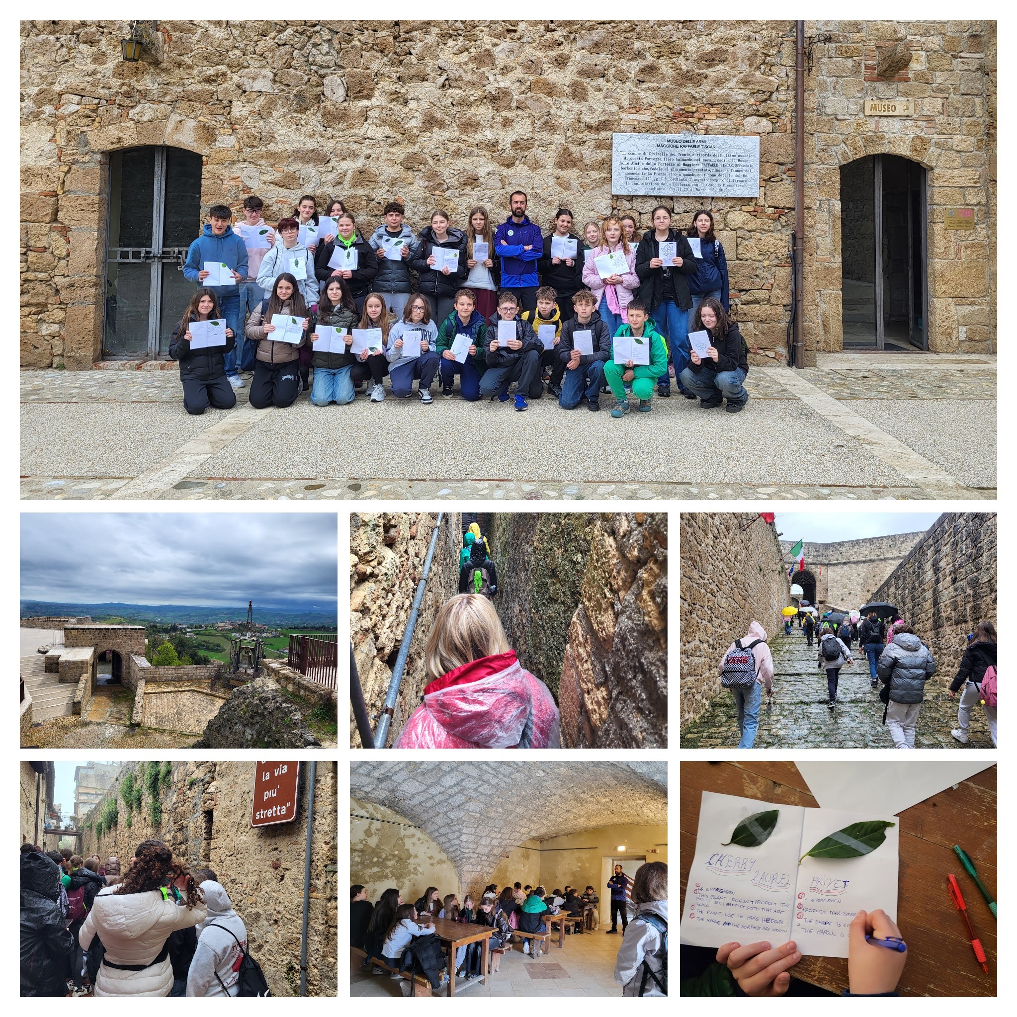 ERASMUS: mobilità in entrata